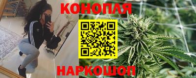 прущие грибы Кинель