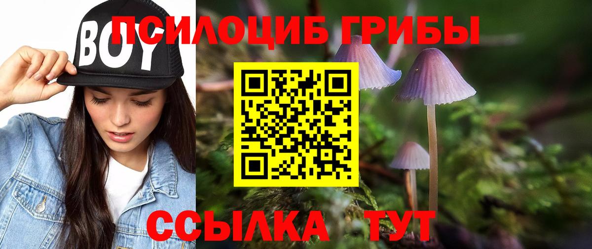 Галлюциногенные грибы Psilocybine cubensis Киржач