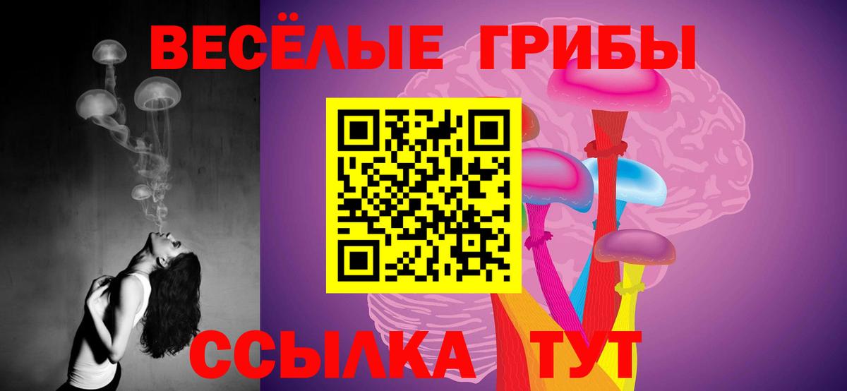 Галлюциногенные грибы GOLDEN TEACHER  Вход с VPN  Киржач 